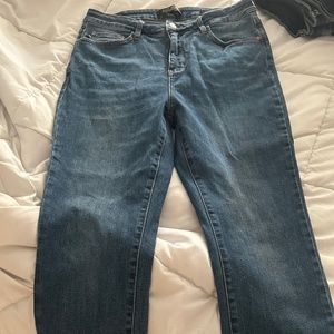 Judy Blue Skinny Jeans